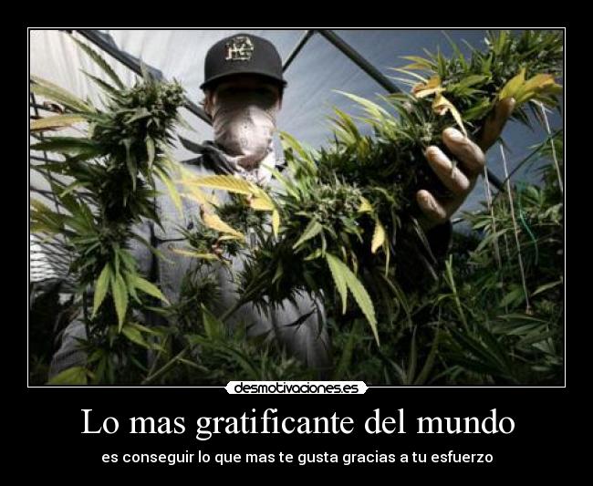 Lo mas gratificante del mundo - es conseguir lo que mas te gusta gracias a tu esfuerzo