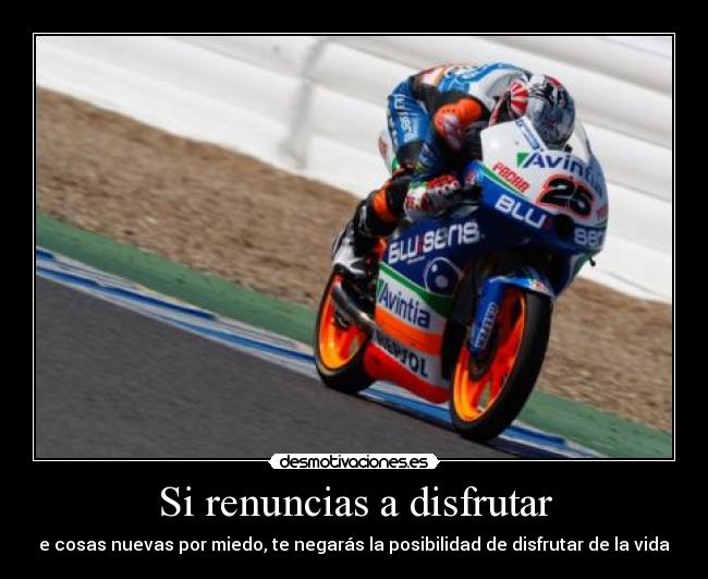 carteles tharatopus maverick vinales desmotivaciones