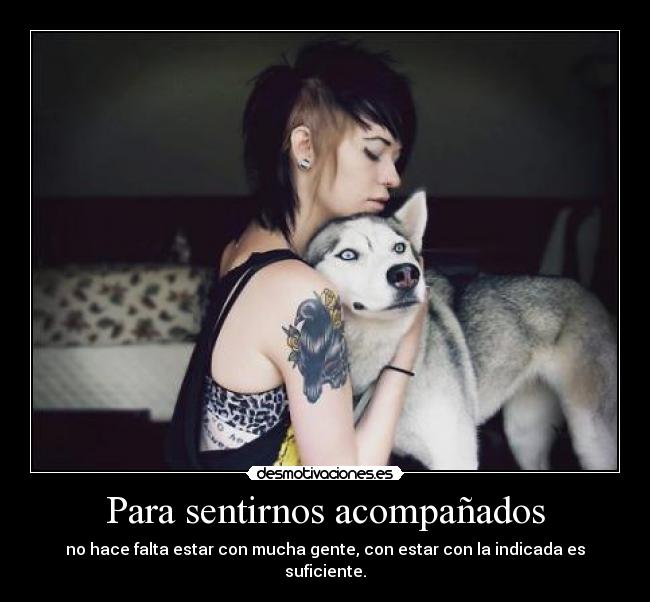 carteles foto mata clankiwi familialemur desmomanada los lobos son chachi piruli desmotivaciones