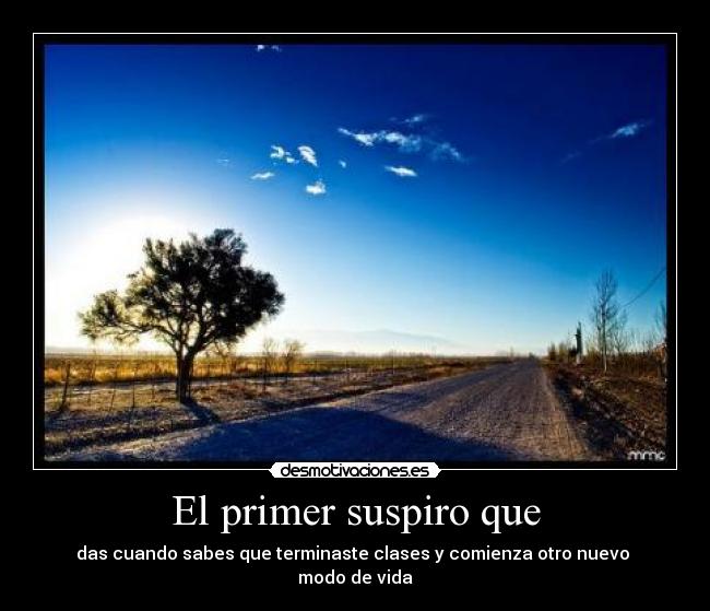 carteles verano desmotivaciones