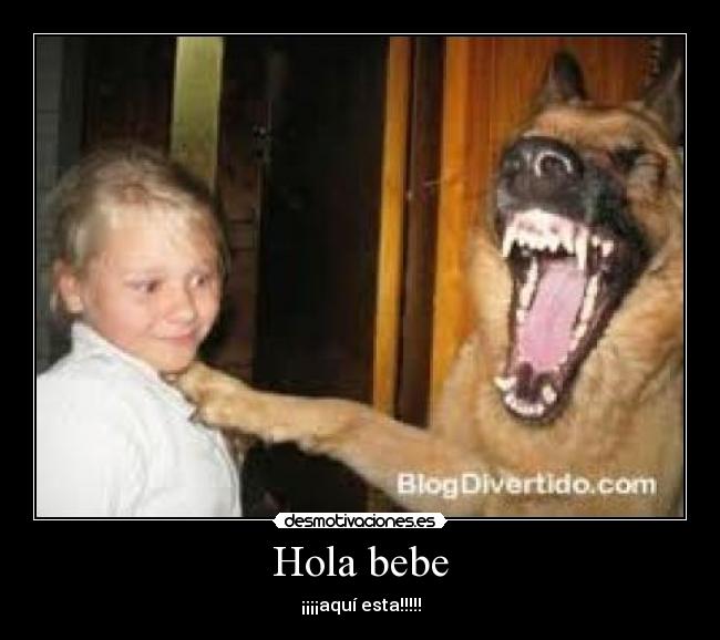Hola bebe - ¡¡¡¡aquí esta!!!!!