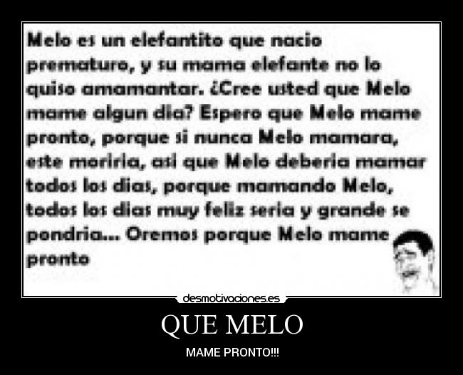 QUE MELO - MAME PRONTO!!!