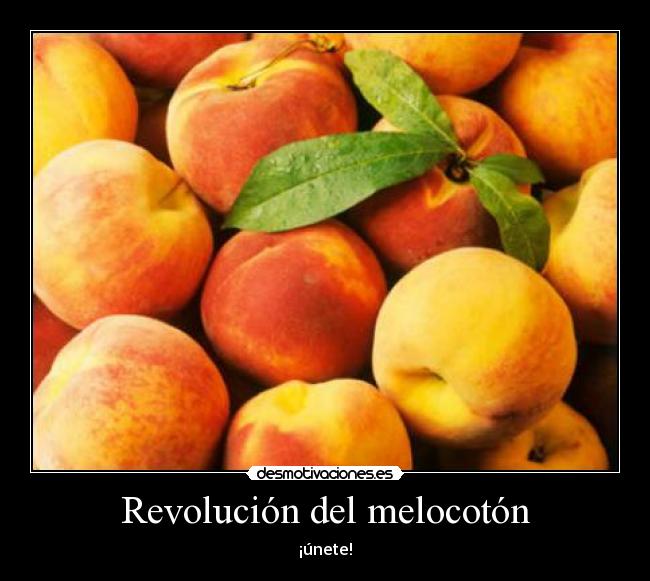 Revolución del melocotón - 