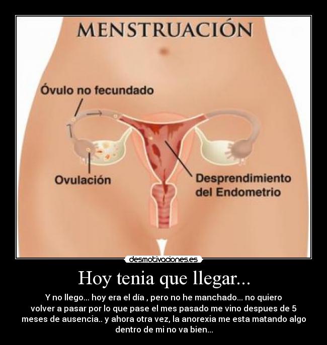 Hoy tenia que llegar... - 