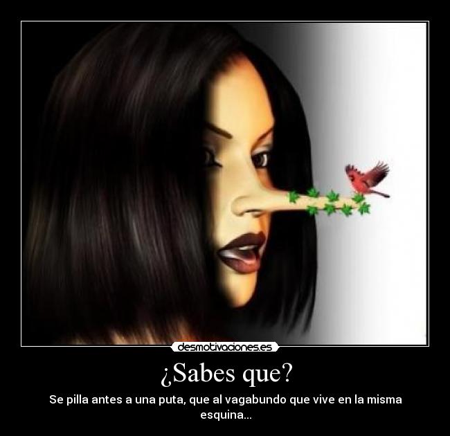 ¿Sabes que? - Se pilla antes a una puta, que al vagabundo que vive en la misma esquina...