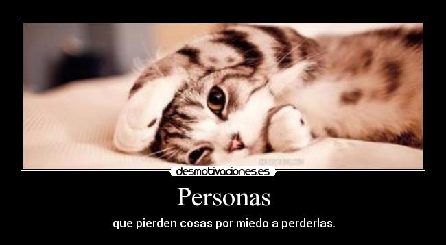 carteles miau acariciame patita ewe cosa sin sentido desmotivaciones