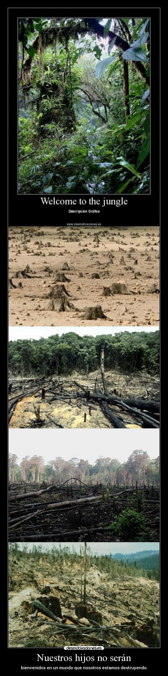 carteles leocuervo760 belteamo carpediem camcont aom guns roses jungle desmotivaciones