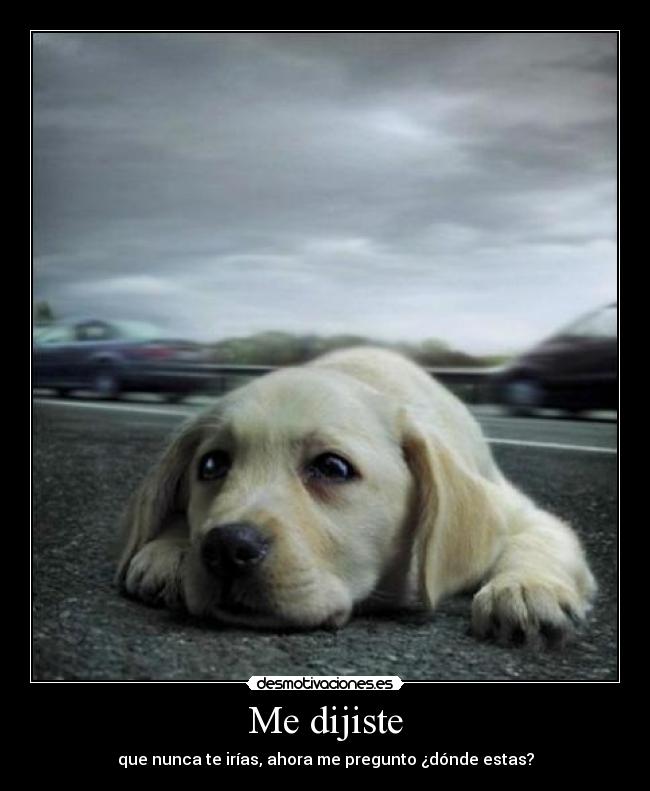 Me dijiste - que nunca te irías, ahora me pregunto ¿dónde estas?