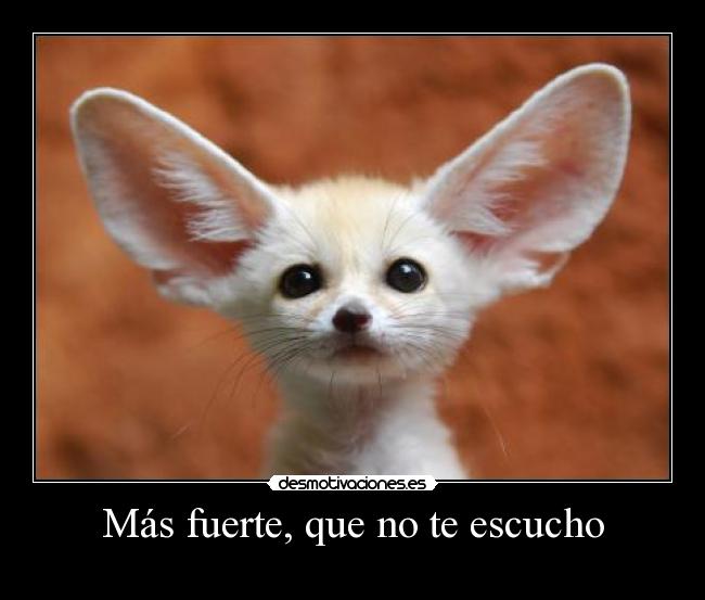 Más fuerte, que no te escucho - 