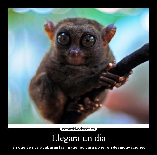 Llegará un día - en que se nos acabarán las imágenes para poner en desmotivaciones