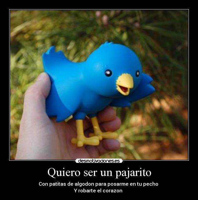 Quiero ser un pajarito - Con patitas de algodon para posarme en tu pecho
Y robarte el corazon ♥