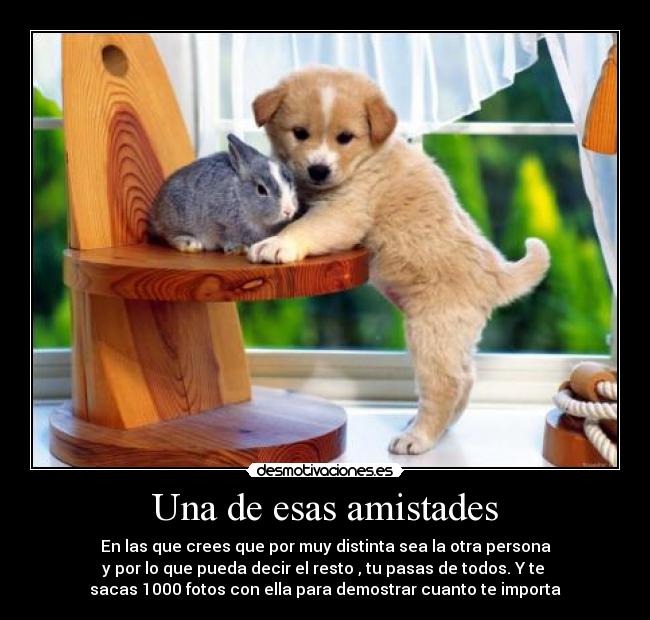 carteles amistaad desmotivaciones