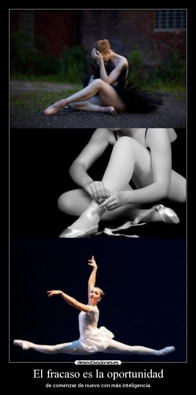 El fracaso es la oportunidad - 