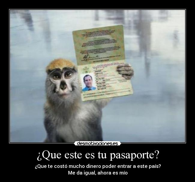 carteles ijvdjxjfonszofdcivds desmotivaciones