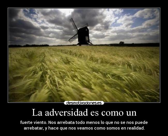 VIDEOS DE VIENTO EN CONTRA videos de viento en contra: