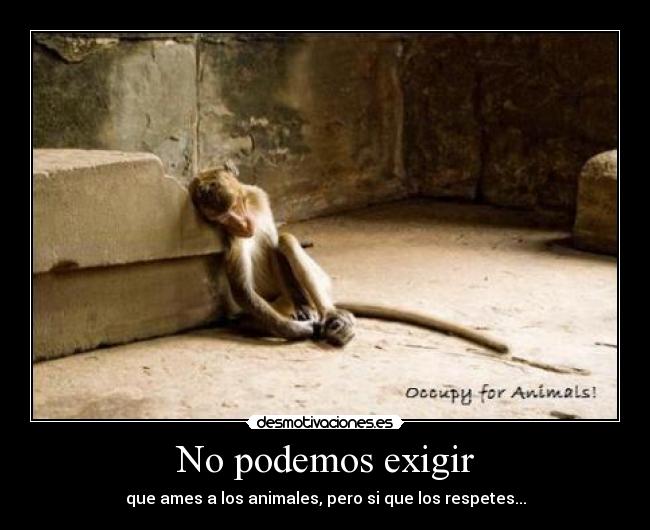 No podemos exigir - que ames a los animales, pero si que los respetes...