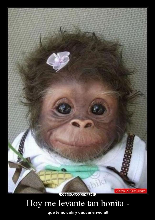 Hoy me levante tan bonita - - 