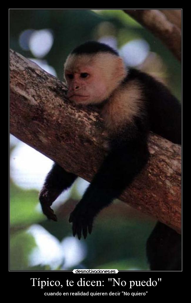 Típico, te dicen: No puedo - cuando en realidad quieren decir No quiero