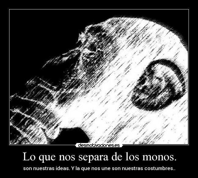 Lo que nos separa de los monos. - son nuestras ideas. Y la que nos une son nuestras costumbres..