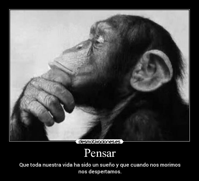 Pensar - Que toda nuestra vida ha sido un sueño y que cuando nos morimos
nos despertamos.