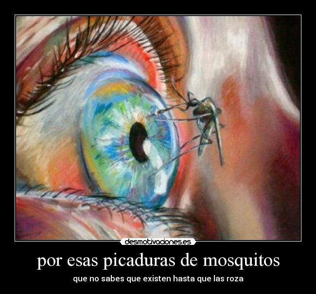 por esas picaduras de mosquitos - que no sabes que existen hasta que las roza