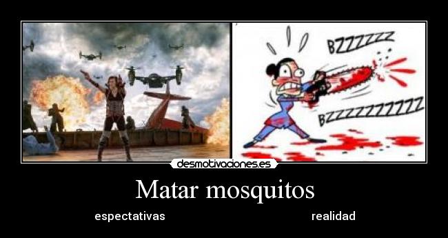 Matar mosquitos - espectativas                                                     realidad