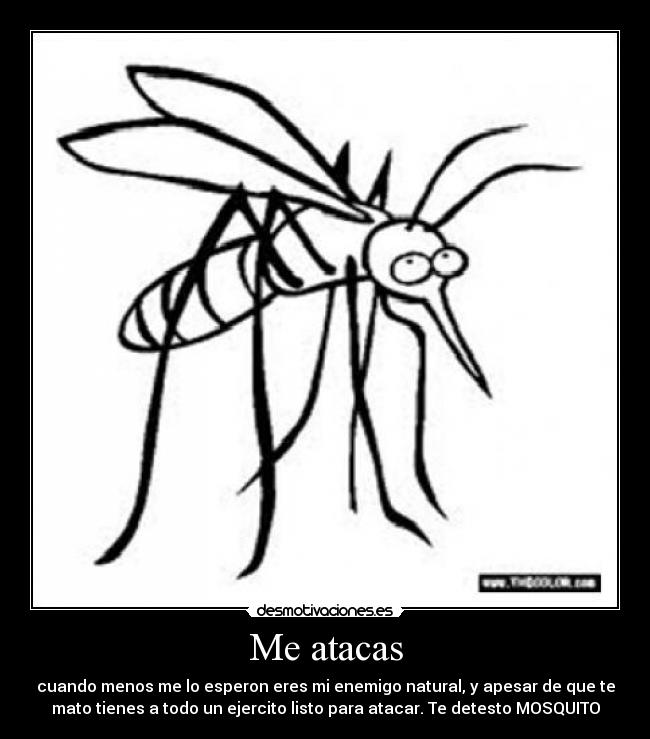 Me atacas - cuando menos me lo esperon eres mi enemigo natural, y apesar de que te
mato tienes a todo un ejercito listo para atacar. Te detesto MOSQUITO