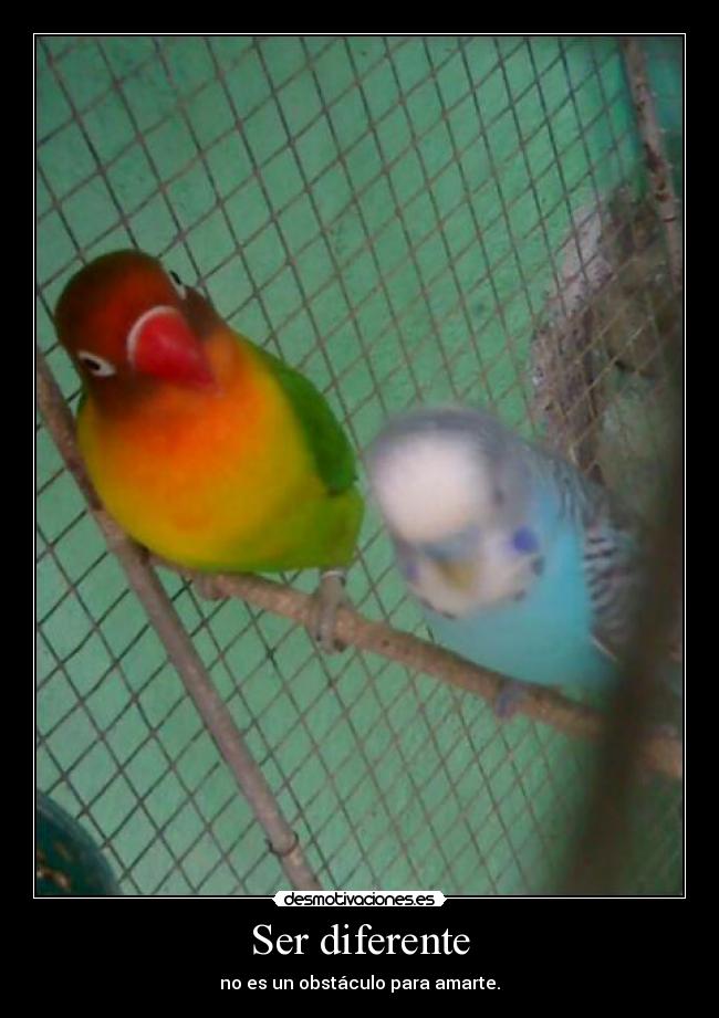 Ser diferente -
