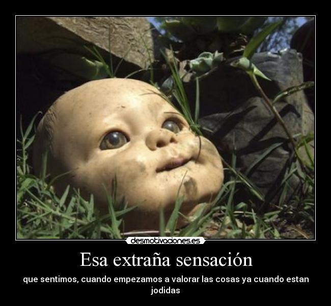 Esa extraña sensación - que sentimos, cuando empezamos a valorar las cosas ya cuando estan jodidas