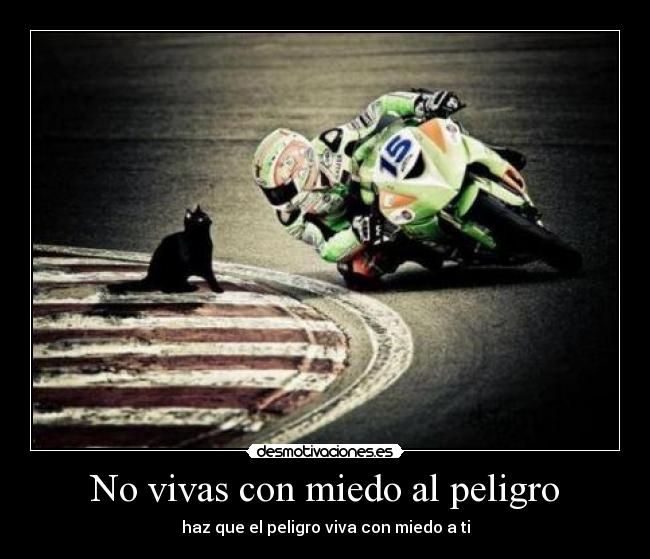 No vivas con miedo al peligro - haz que el peligro viva con miedo a ti