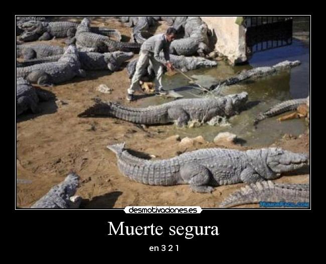 carteles muerte muerte segura desmotivaciones