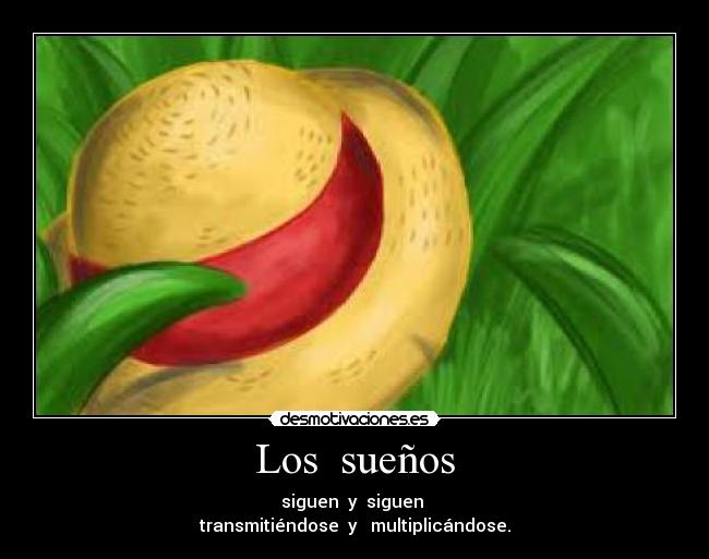 carteles one piece sombrero paja suenos siguen multiplicandose desmotivaciones