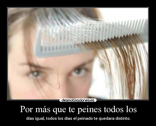 carteles 216 desmotivaciones