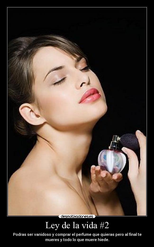 carteles vida ley vida vanidad comprar perfume muere hiede google desmotivaciones