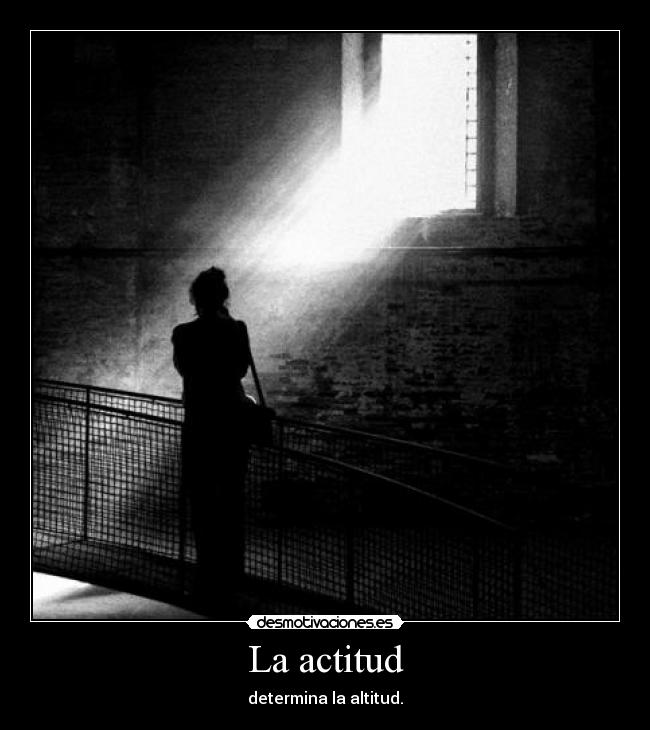 La actitud - determina la altitud.