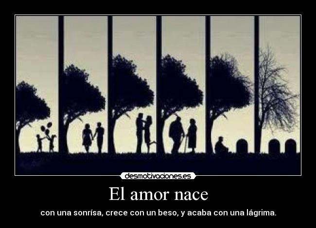 El amor nace - 