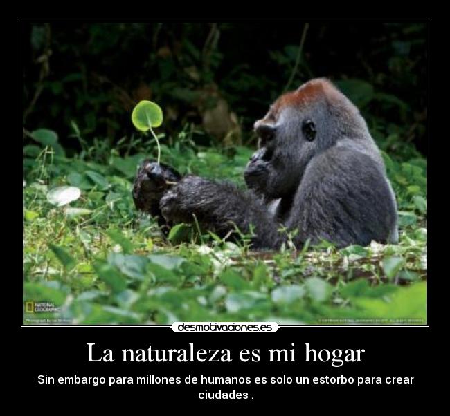 carteles naturaleza naturaleza free desmotivaciones