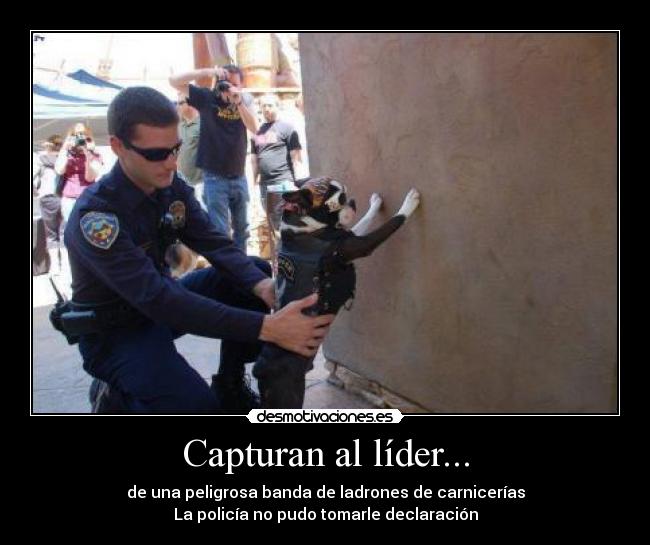 carteles  desmotivaciones