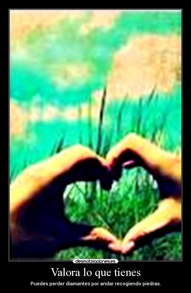 carteles valora que tengas verdad desmotivaciones