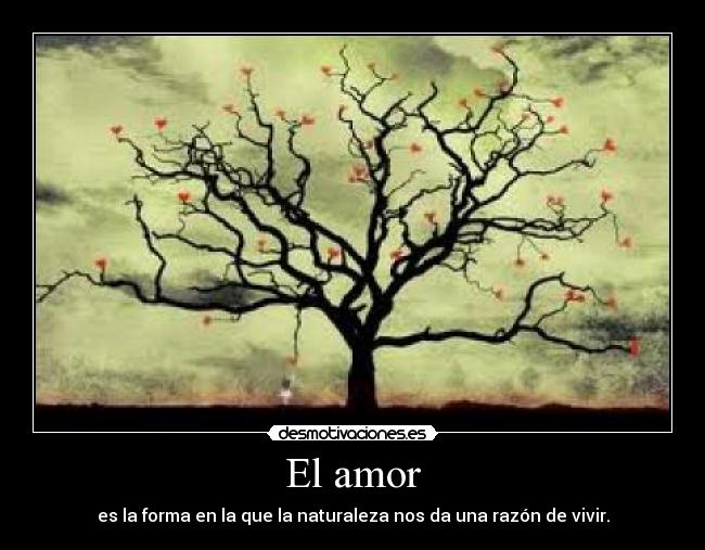 El amor -