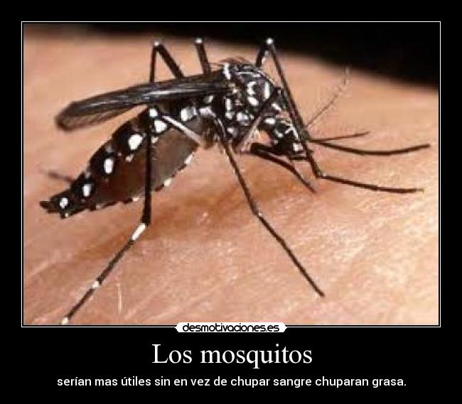 Los mosquitos -