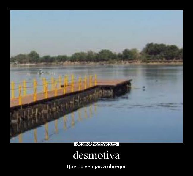 carteles jsjsjs desmotivaciones