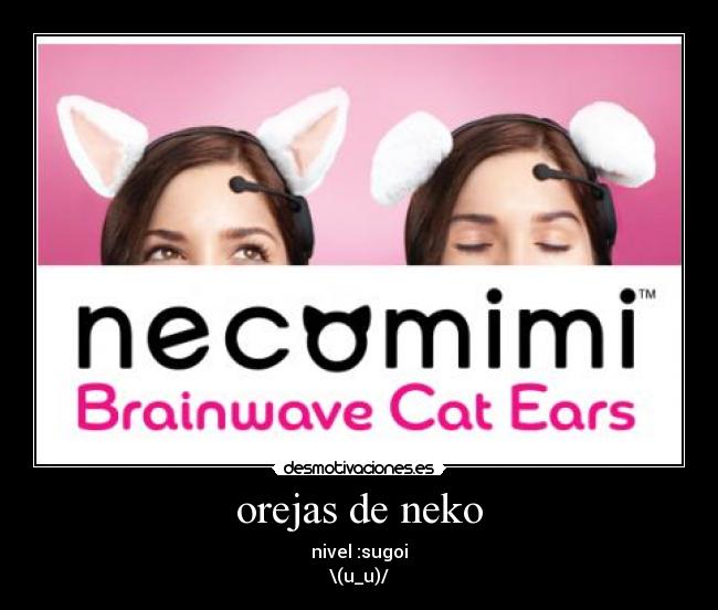 orejas de neko - nivel :sugoi
\(u_u)/