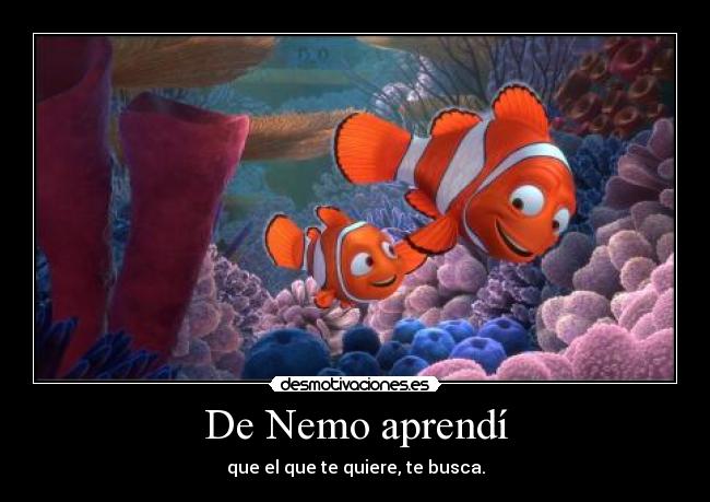 De Nemo aprendí - que el que te quiere, te busca.