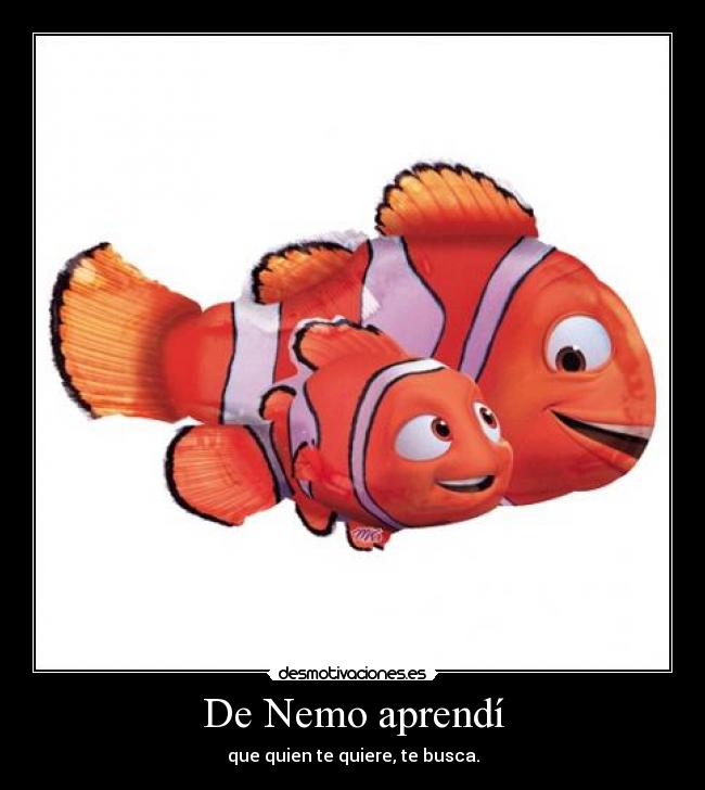 De Nemo aprendí - que quien te quiere, te busca.