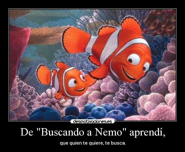 De Buscando a Nemo aprendí, -