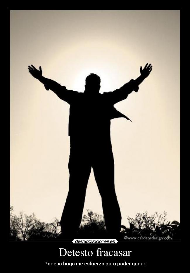 Detesto fracasar - 