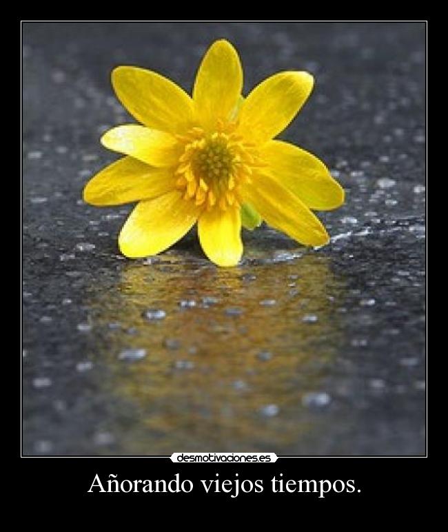 Añorando viejos tiempos. -