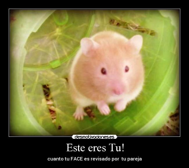 Este eres Tu! - cuanto tu FACE es revisado por tu pareja