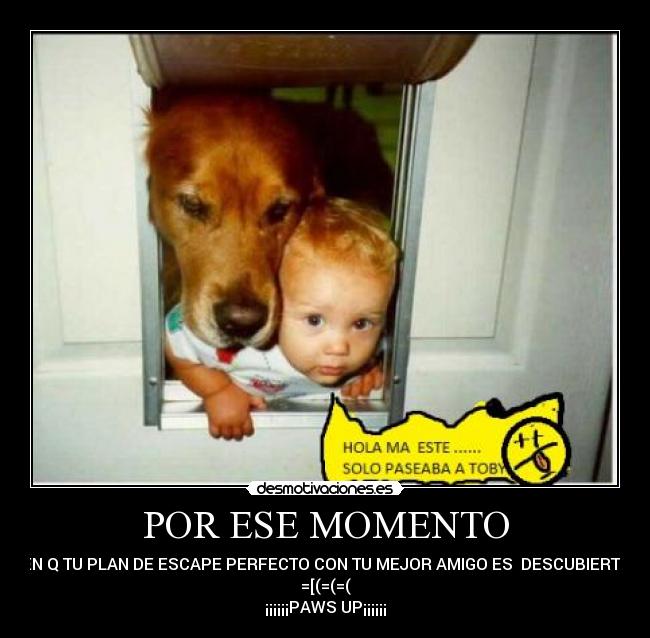 carteles gagafan desmotivaciones